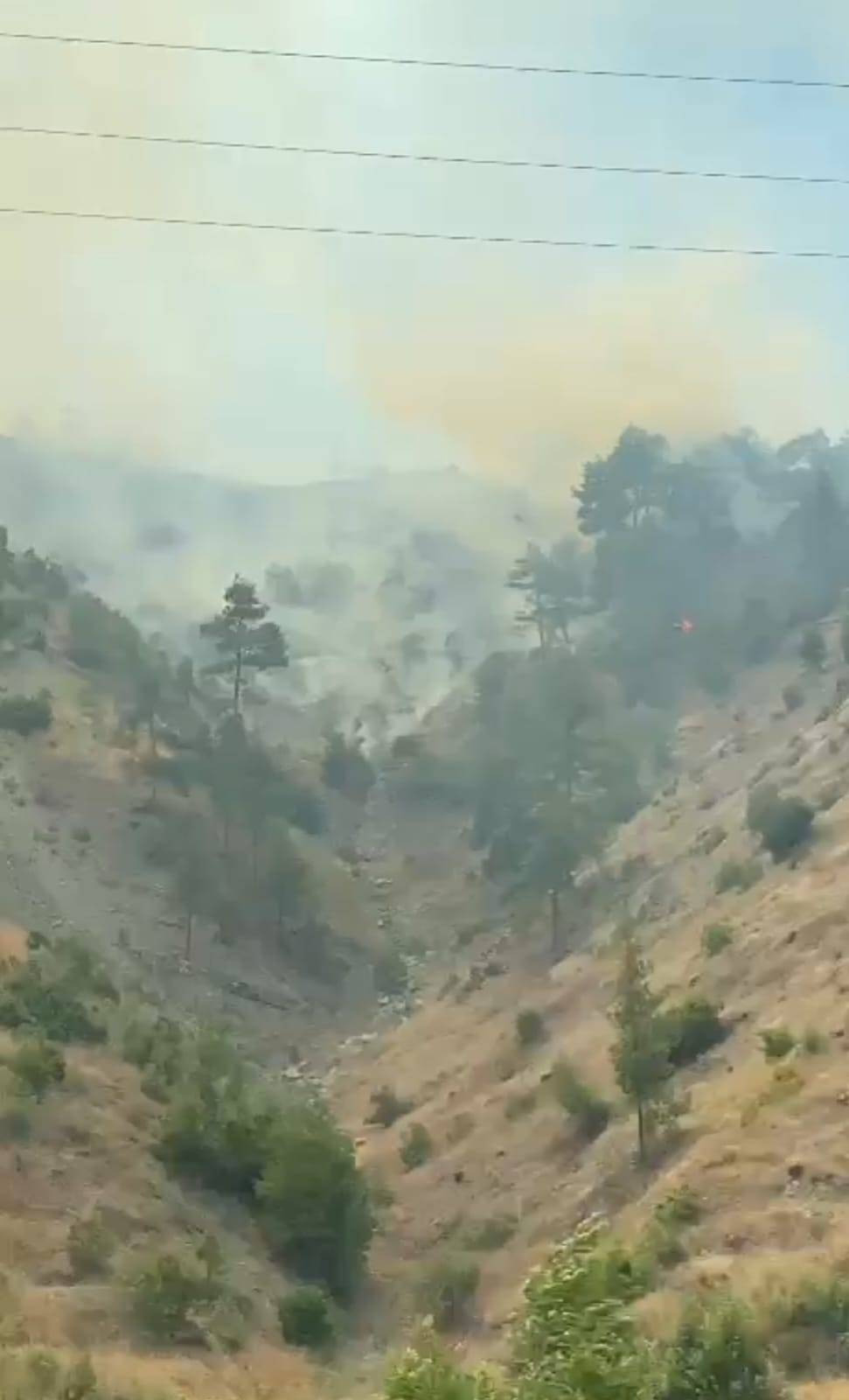 Kahramanmaraş'ta orman yangını - Resim: 8